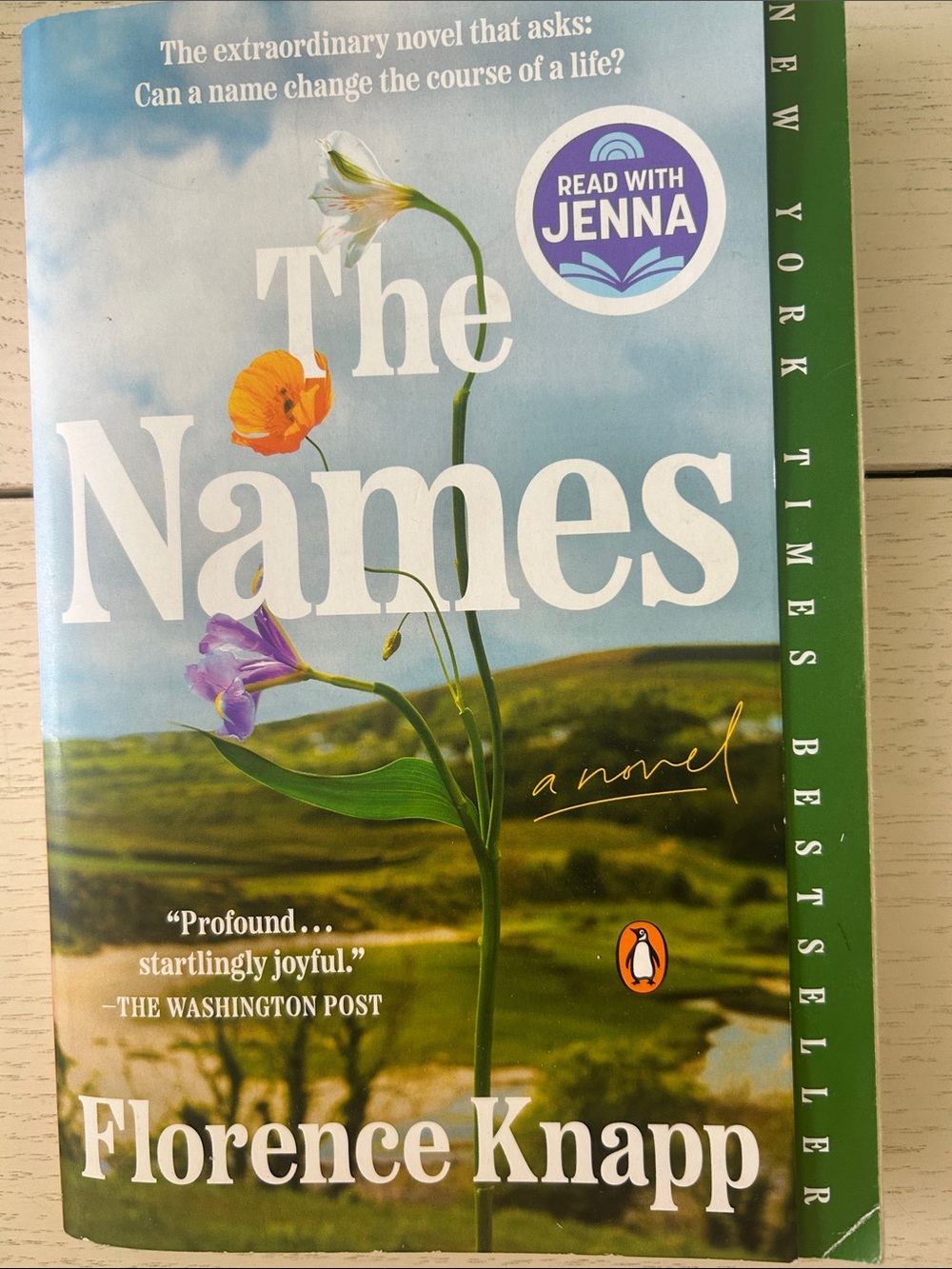 The Names by Florence Knapp — Paperback Novel, Blue & Green Floral Cover